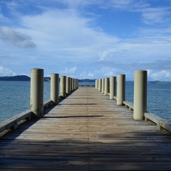 2017-03 New Zealand/Hunua/DSC_0286.JPG